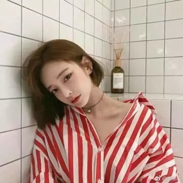藩篱
